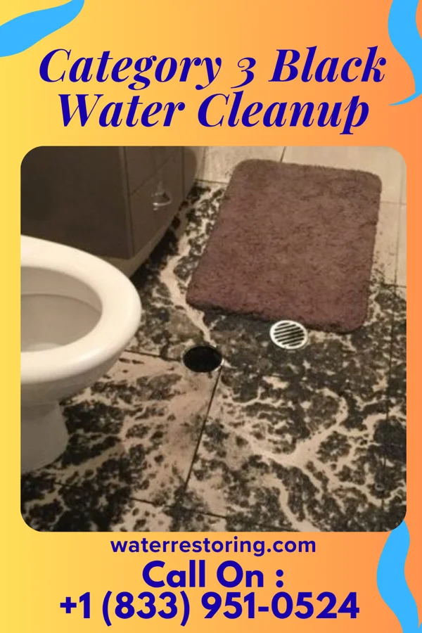 Category 3 Black Water Cleanup in Lindenhurst, NY