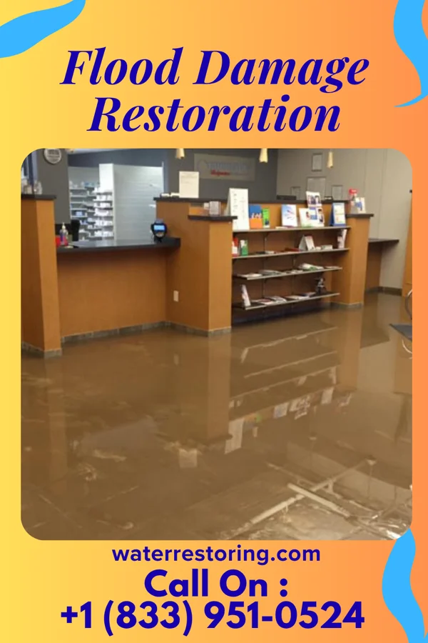 Flood Damage Restoration in Lindenhurst, NY