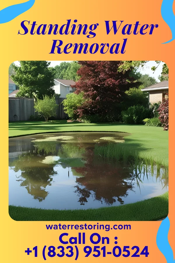 Standing Water Removal in Lindenhurst, NY